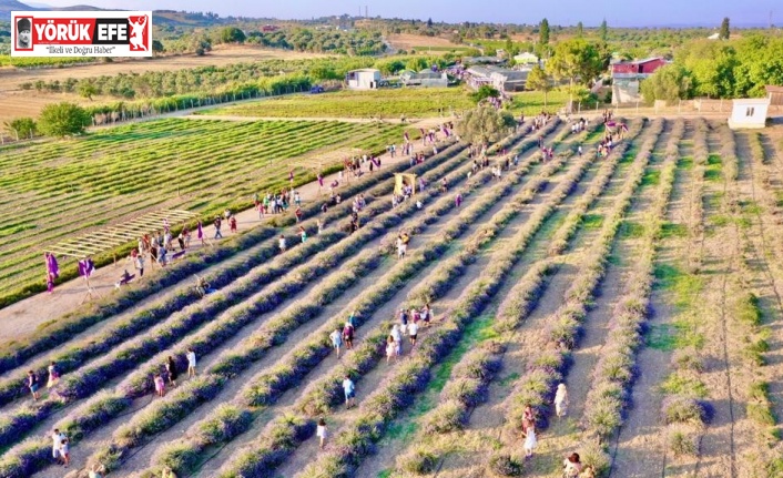 Didim Belediyesi’nin lavanta bahçesi doğal stüdyoya dönüştü