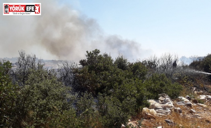 Didim’de çıkan yangın evlere sıçramadan kontrol altına alındı