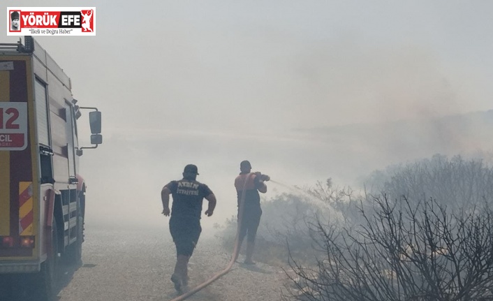 Didim’de makilik ve zeytinlik alanda yangın çıktı