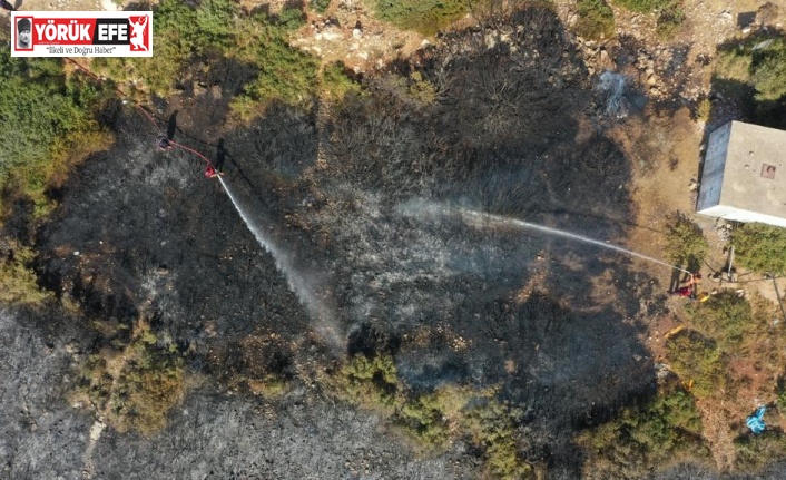 Didim’deki yangın kontrol altına alındı