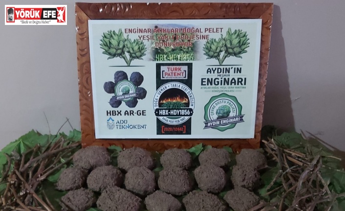 Enginar sadece sağlık değil aynı zamanda çevre dostu çıktı