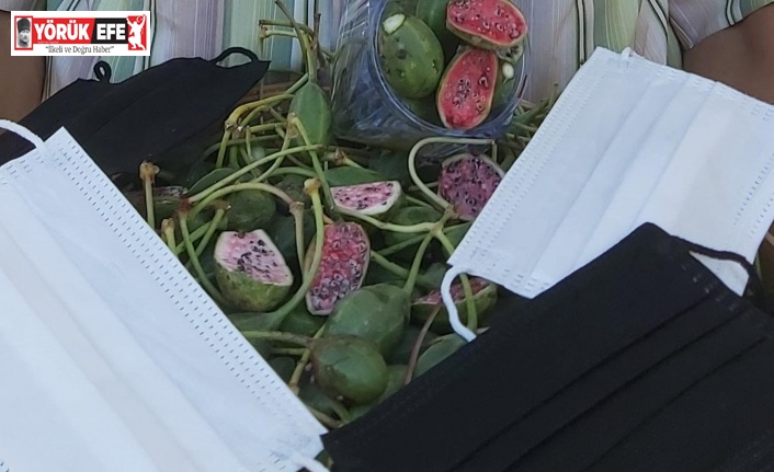 Eskiden çobanlar kullanıyordu, şimdi maske üretiminde kullanılıyor