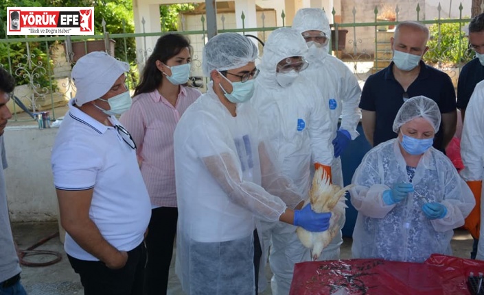 İl Tarım personeline Kuş Gribi eğitimi verildi