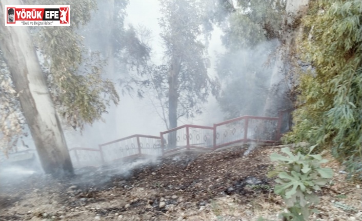 İtfaiyenin hızlı müdahalesi, yangının büyümesini engelledi