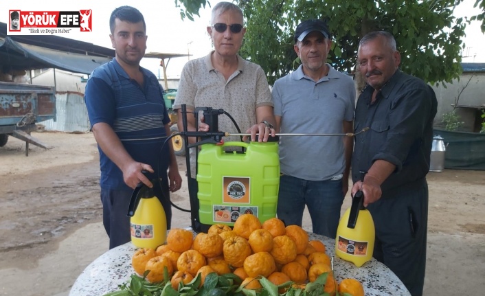 Kimsenin kıymetini bilmediği turunç bitkisinden dezenfektan üretildi