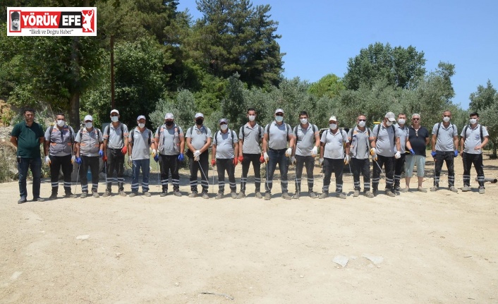 Kuşadası Belediyesi, ’Karasinekle Mücadele Timi’ kurdu