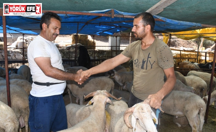 Kuşadası Kurban Bayramı’na hazır