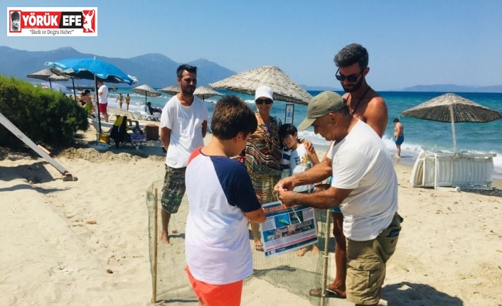 Kuşadası sahillerine Caretta Carettalar yuva yaptı