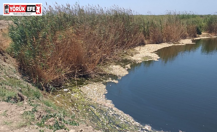 MENDERES NEHRİ’NİN AĞLAYAN YÜZÜ