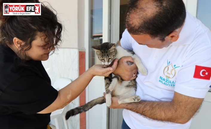 Nazilli’de can dostlar yalnız bırakılmıyor
