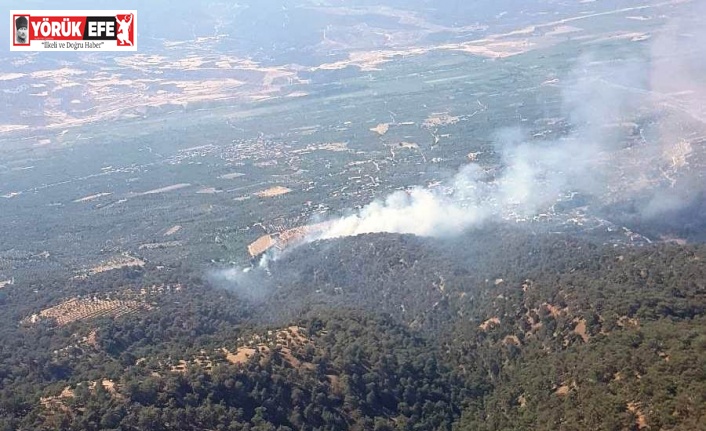 Nazilli’de çıkan yangını söndürme çalışmaları sürüyor