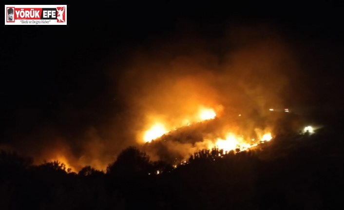 Nazilli’deki orman yangınını söndürme çalışmaları gece de devam ediyor
