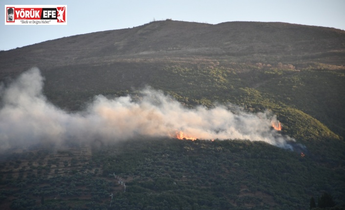 Söke’deki orman yangını korkuttu