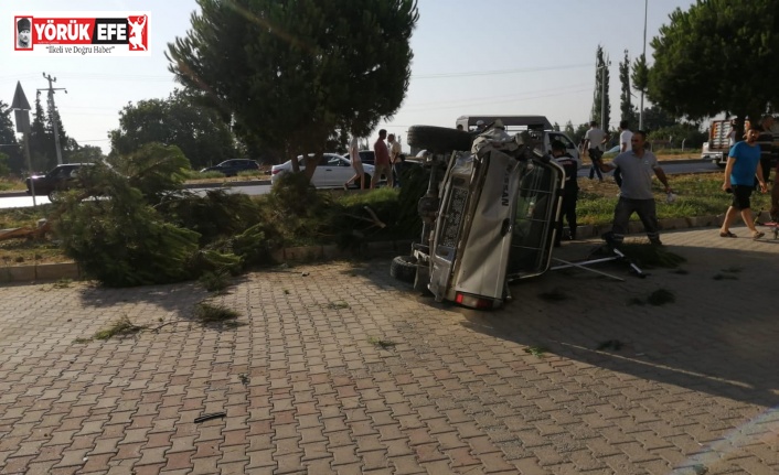 Takla atan kamyonet ağacı devirerek durabildi