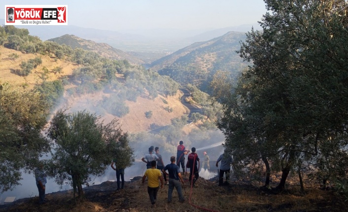 Tarım arazisinde çıkan yangın kontrol altına alındı