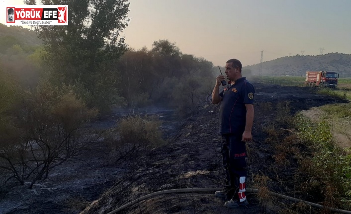 Ateş savaşçılarının hızlı müdahalesi zeytin ağaçlarını korudu