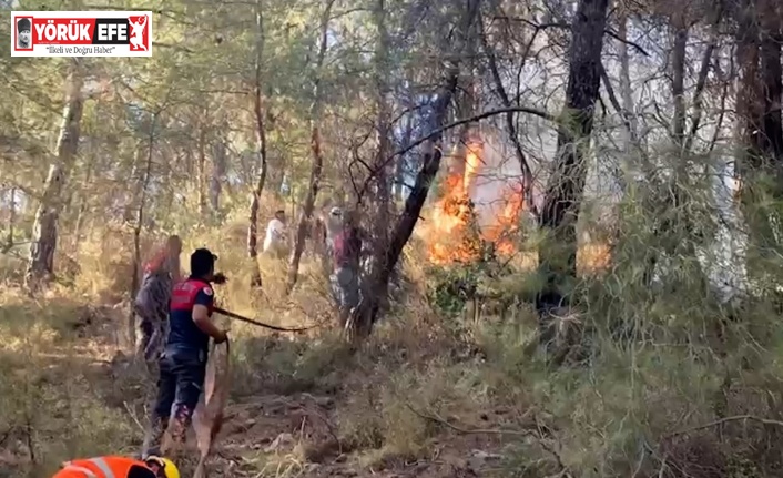 Aydın itfaiyesinin, Marmaris’te ateşle mücadelesi sürüyor