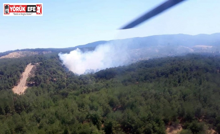 Aydın’da aynı anda iki orman yangını çıktı