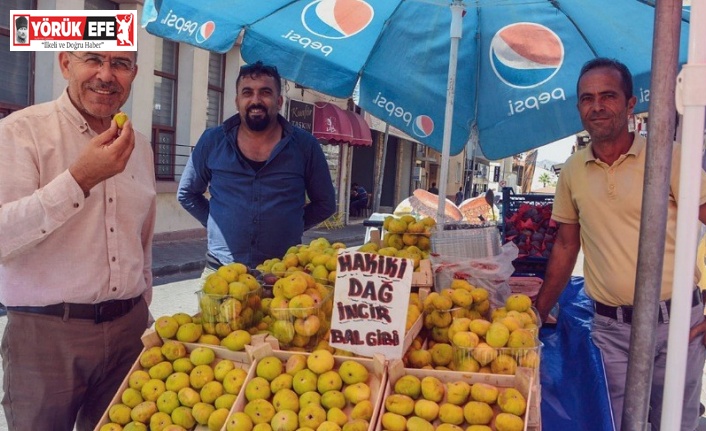 Başkan Güler; "Yeni incir sezonu üreticilerimize bereketli olsun"