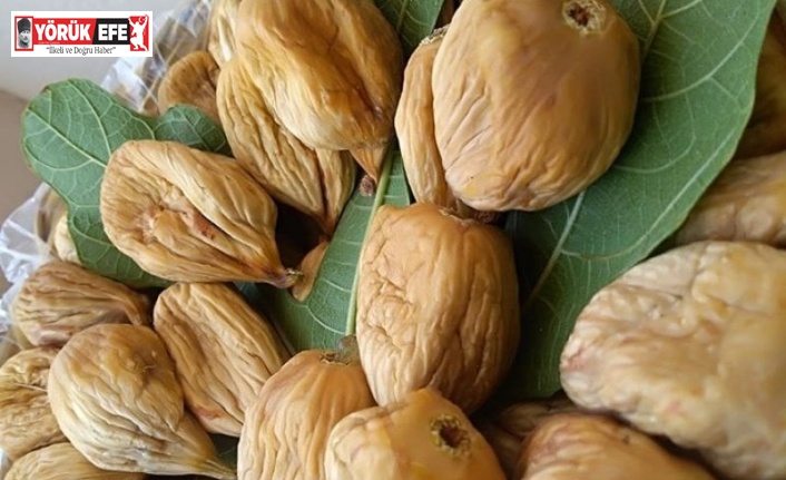 Buharkent Ziraat Odası Başkanı Özdamar’dan uyarı; ’35 TL’nin altında incir satmayın