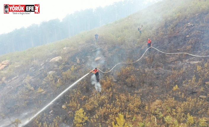 Büyükşehir itfaiyesi orman yangınları ile mücadele ediyor