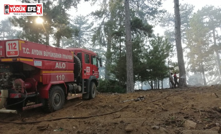 Büyükşehir, Karacasu’daki yangına tüm gücüyle müdahale ediyor