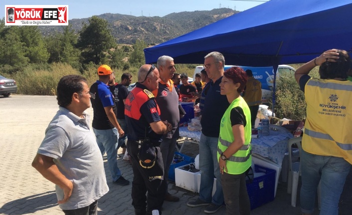 Büyükşehir yangın bölgesinde yaraları sarıyor