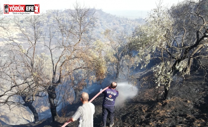 Büyükşehir’den Germencik’teki yangına hızlı müdahale