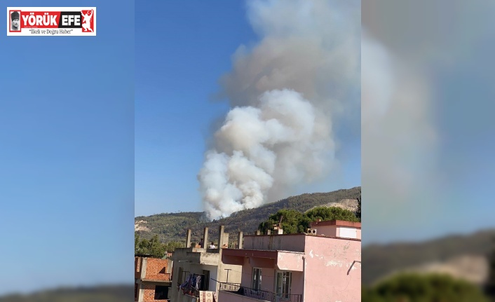 Çine’de orman yangını