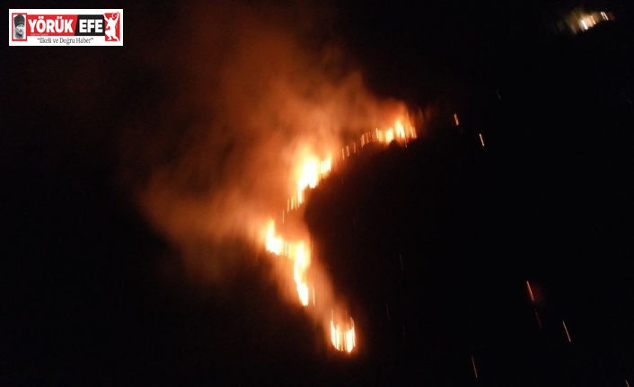 Didim’deki yangın Akbük’e sıçramadan kontrol altına alındı