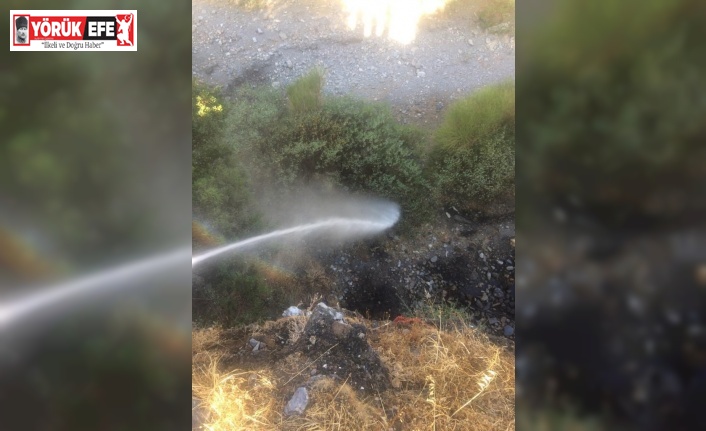 Doğanbey’deki yangın hızlı müdahale ile söndürüldü