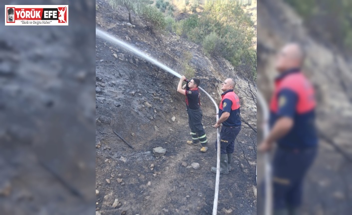 Karacasu’daki yangın hızlı müdahale ile söndürüldü