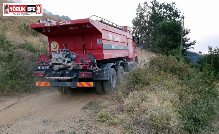 Karacasu’daki yangında ekiplerin çalışması sürüyor