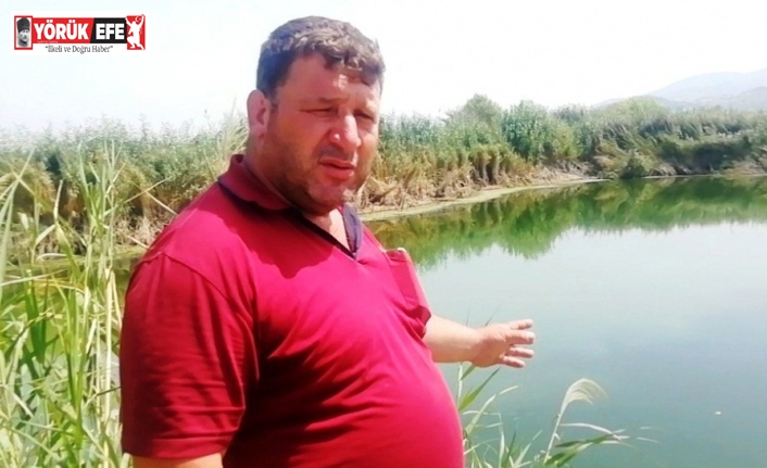 Koçarlı’da toplu balık ölümleri yaşanıyor