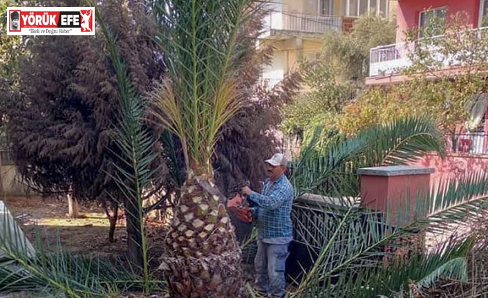 Köşk Belediyesi okulları yüz yüze eğitime hazırlıyor