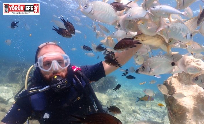 Kuşadası su altı zenginliğiyle dalış tutkunlarını cezbediyor