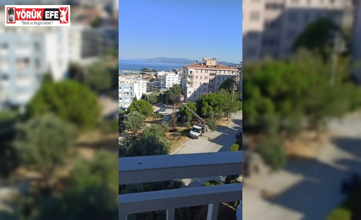 Kuşadası’nda çıkan yangın söndürüldü