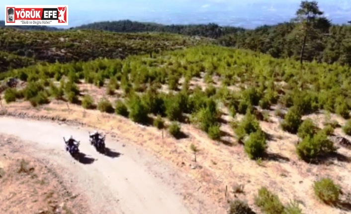 Nazilli’de yangınlara karşı havadan ve karadan denetim yapılıyor