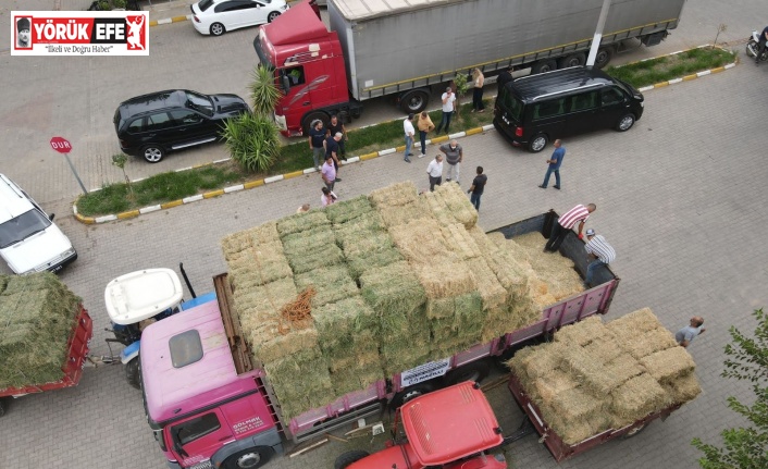 Nazilli’den Manavgat ve Bozdoğan’a yardım eli