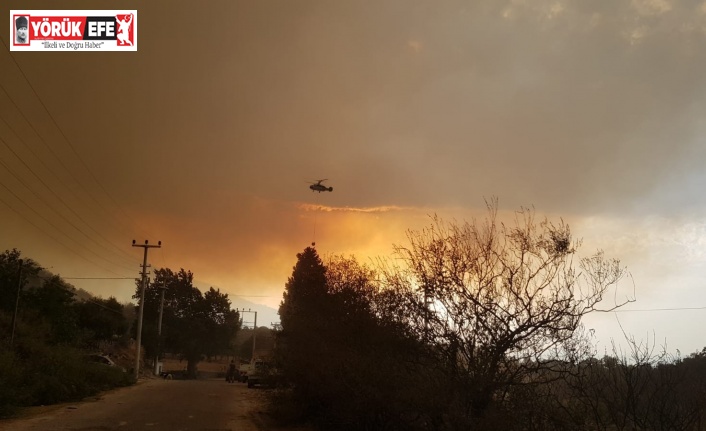 Orman yangını dolayısıyla Kabalar Mahallesi tahliye edildi