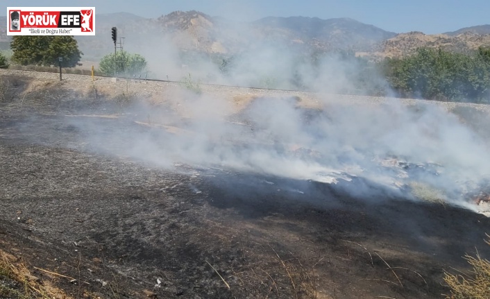 Proje çalışması için depolanan zeytin yaprakları yandı