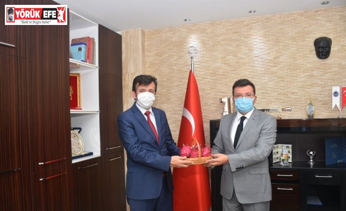 Aydın Cezaevi’nde kurulan pitaya serası ilk ürünlerini verdi