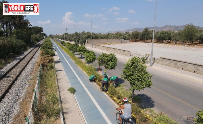 Bisiklet yolu güzelleşiyor