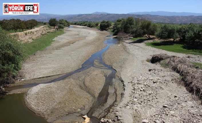 Büyük Menderes Nehri kurudu, çiftçiler tedirgin