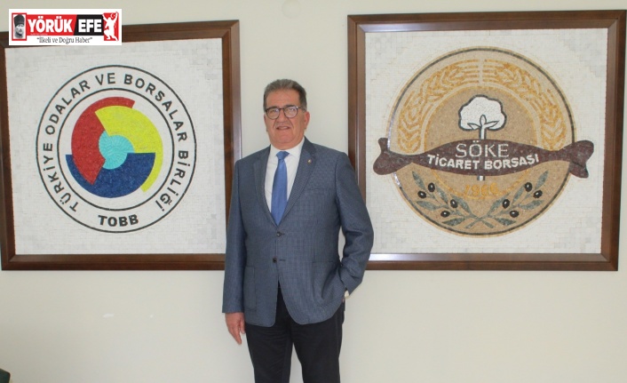 Söke Ovası’nda bu yıl pamuk ekimi yüz bin dekar azaldı