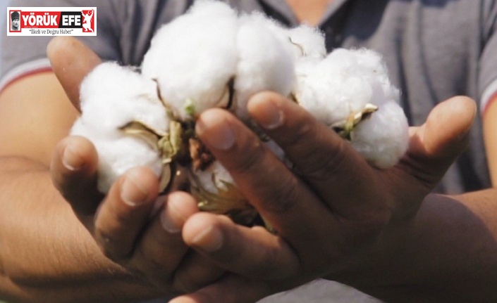 Söke TARİŞ’ten anlamlı video; "72 yıldır üreticinin sigortasıyız"