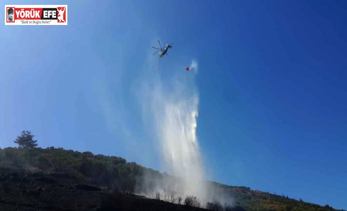 Söke’de zirai alanda yangın
