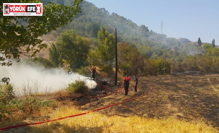 Söke’deki yangında 10 dönüm zirai alan zarar gördü