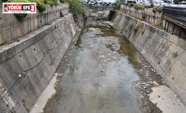 Tabakhane Deresi, duyarsız vatandaşları hedefi oldu