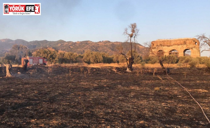 Alevler antik kente ulaşmadan söndürüldü
